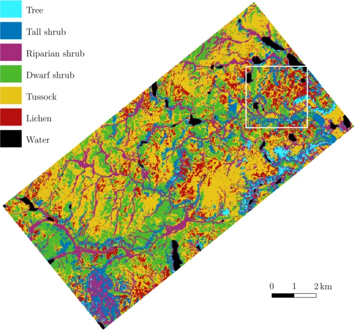 Figure 1: Final vegetation map in its complete extent; the white square indicates the extent shown in Figure 2.