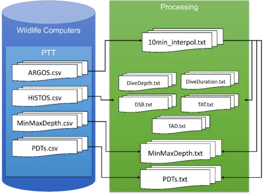 Figure 1: Workflow of the SPLASH-PTT Processing 