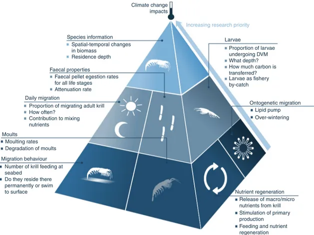 Fig. 5 Future research priorities on E. superba processes for the next decade. The pyramid illustrates the rates and states of krill life history, habitat and biogeochemical function, which need to be prioritised as areas of key research in the coming deca