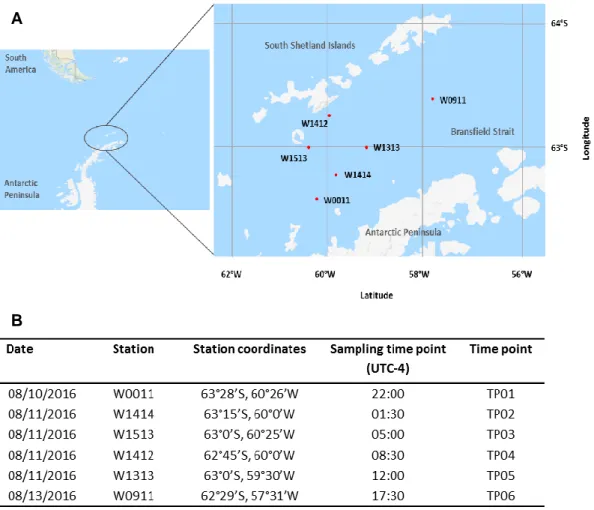 Figure 3: Study area incl. stations where krill was sampled – A) Krill sampling stations during AMLR  2016 NBP 1606 cruise