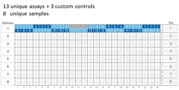 Figure  10:  Custom  TaqMan TM   Array  Card  format  with  13  unique  assays  and  3  custom  controls  used  in  this  study  –  Instead  of  the  mandatory  control  (CTL)  slot    3  custom  controls  (internal: Usp46 and external: spike 1 and 2) were