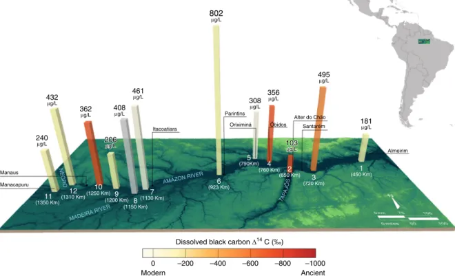 Fig. 1 Dissolved black carbon concentration and radiocarbon values. Sample locations plotted as distance to the river mouth (in km, in white text) with the river (in blue text) and nearest city (black text)