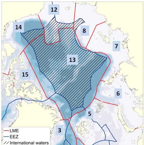Figure 1. National boundaries (blue) and boundaries of Large Marine Areas (LMEs; red). The High Seas area  (international waters) is hatched. Numbers refer to LMEs defined by red boundaries: 13 Central Arctic LME, 5  Barents Sea LME, 6 Kara Sea LME, 7 Lapt