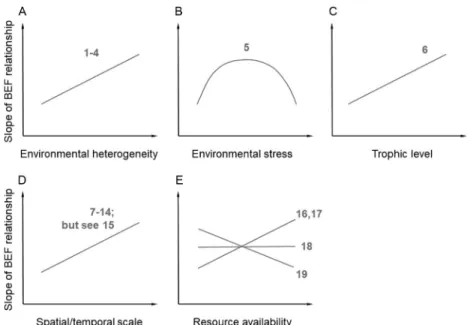 Fig. 4 Context-dependent biodiversity – ecosystem functioning (BEF) relationships;