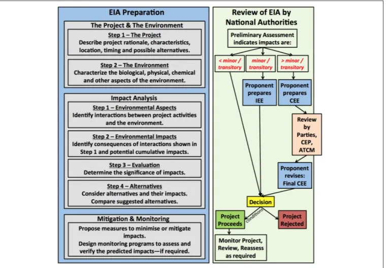 FIGURE 3 | A schematic of the EIA process outlined in Annex I of the Protocol. The Proponent prepares the EIA, which includes sections on the project, the environment, potential impacts, and mitigation and monitoring measures