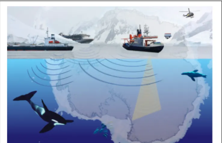 FIGURE 1 | Sketch of sources of underwater noise in the Antarctic. All vessels (fishing vessels, cruise ships, research vessels, etc.) produce underwater noise in a nearly omni-directional pattern (indicated by circular sound wavefronts)