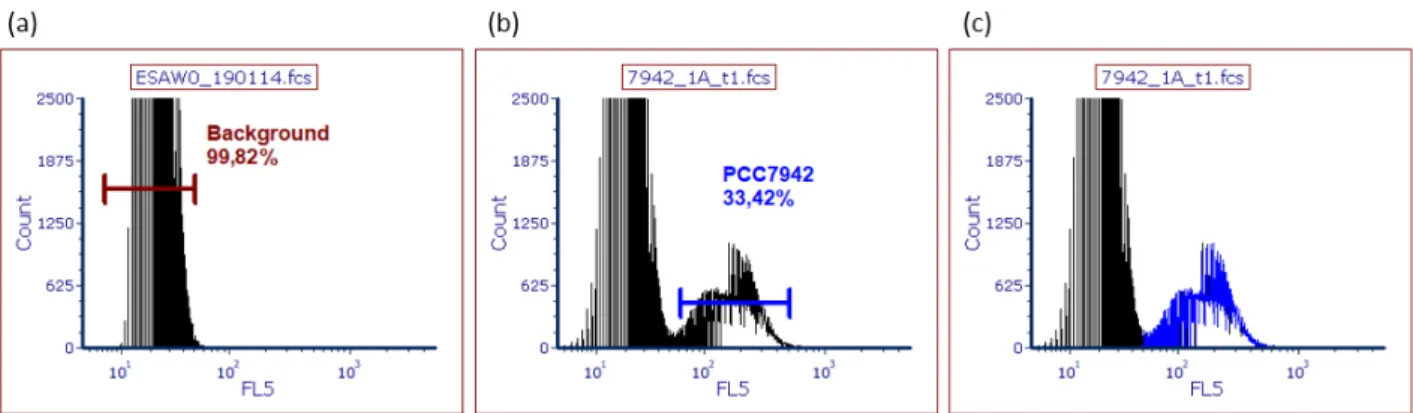 Figure 12 Comparison of cell concentrations from unstained and propidium iodide (PI) stained samples  seven days after inoculation recorded at t 4  of the growth curve of  Synechococcus PCC7942