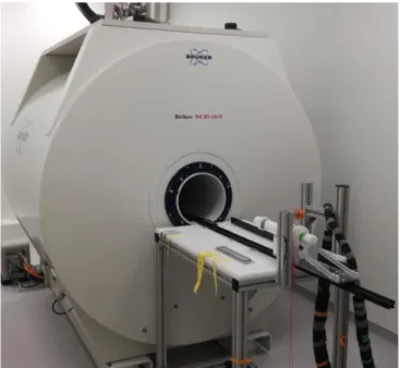 Figure 4-5 Photo of the used MRI and positioning device.  