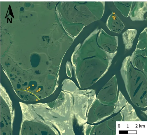 Figure 2:  Overview of the study sites and sampling locations. The island Samoylov is located in the upper right  corner of this satellite picture and consists of Holocene first terrace deposits