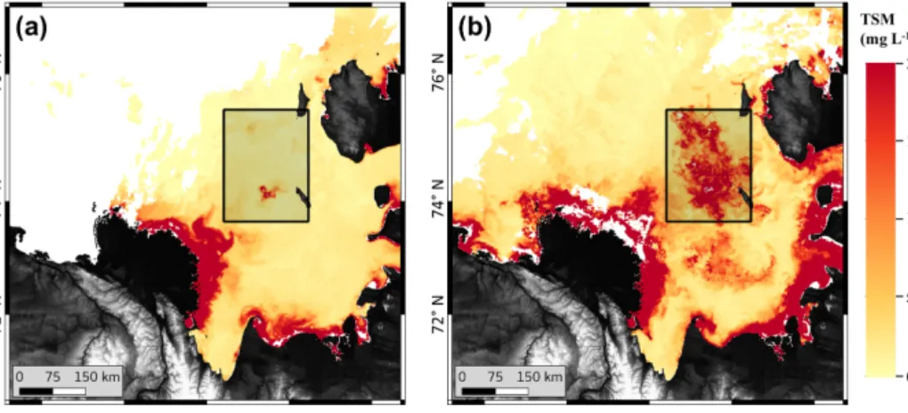 Figure 9. ONNS-derived TSM concentration for satellite mosaics from (a) August 2010 and (b) September 2010