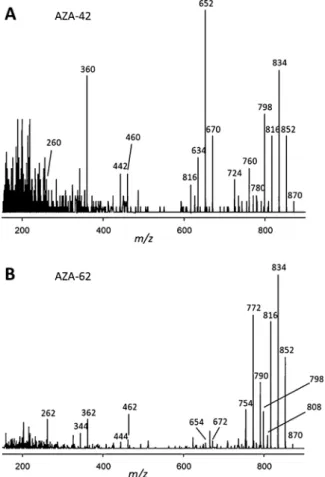 Fig. 3. Fragmentation scheme of AZA-1 indication the characteristic AZA fragment groups.
