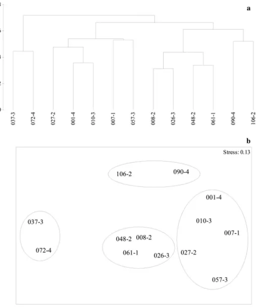 Fig. 6    Dendrogram (a) and two- two-dimensional MDS plot (b) of  sampling stations investigated in  the southeastern Weddell Sea,  to visualize the between-station  resemblances according to fish  fauna composition