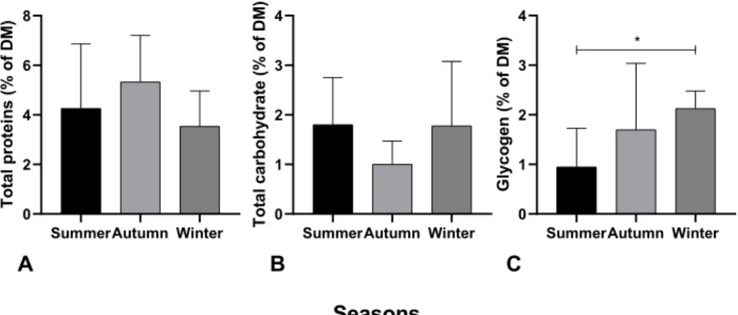 Figure 6: A) Total proteins, B) total carbohydrate and C) glycogen content in S. thompsoni  over summer, autumn and winter