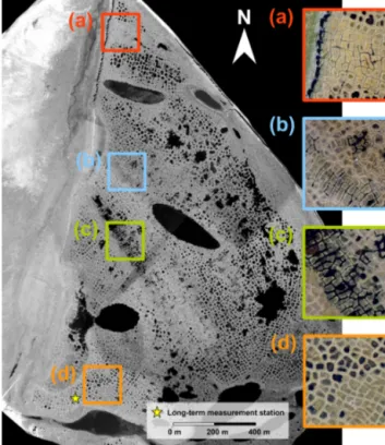 Figure 1. Aerial image of Samoylov Island with enlargements showing various types of ice-wedge polygons in different parts of the island, all of which evolved under identical climatic  condi-tions: (a) high-centred polygons with drained troughs; (b)  water