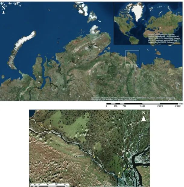 Fig. 1: The key study sites of the Lena River Delta, Russian Arctic. Investigation sites
