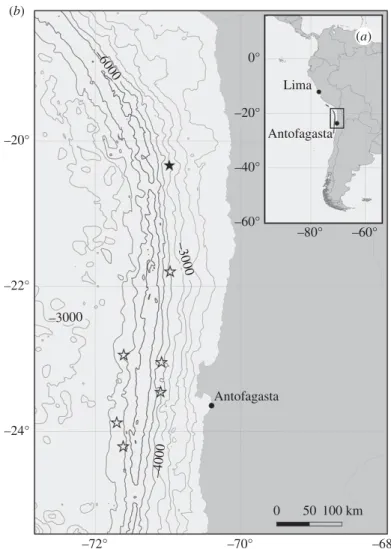 Figure 2. Georeferenced, processed sidescan data collected from a flight height of 1.5 – 2 m showing the chain of depressions reminiscent of those presented in Marsh et al