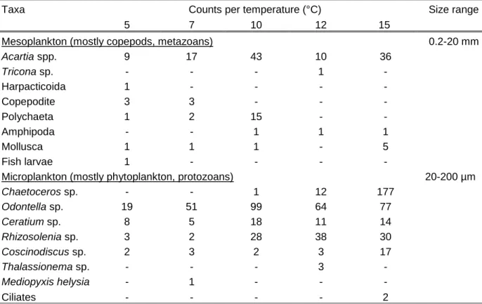 Table  1  List  and  count  of  meso-  and  microplankton  taxa.  Counts  represent  subsamples  that  were  taken and frozen before plankton was distributed in the temperature gradient table