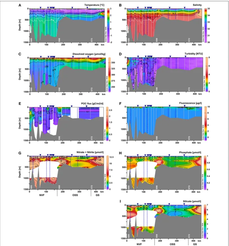 FIGURE 4 | Vertical distribution of (A) temperature ( ◦ C), (B) salinity, (C) dissolved oxygen (µmol kg −1 ), (D) turbidity (NTU), (E) POC flux (g C m −2 d −1 ), (F) chlorophyll a fluorescence (µg l −1 ), (G) nitrate+nitrite (µmol l −1 ), (H) phosphate (µm