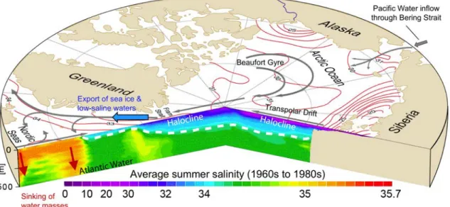 Figure 2. Map and vertical structure (500 m) of salinity in the Arctic Ocean. In ﬂ ow of Paci ﬁ c Waters through Bering Strait and export of ice and low ‐ saline waters through Fram Strait are indicated
