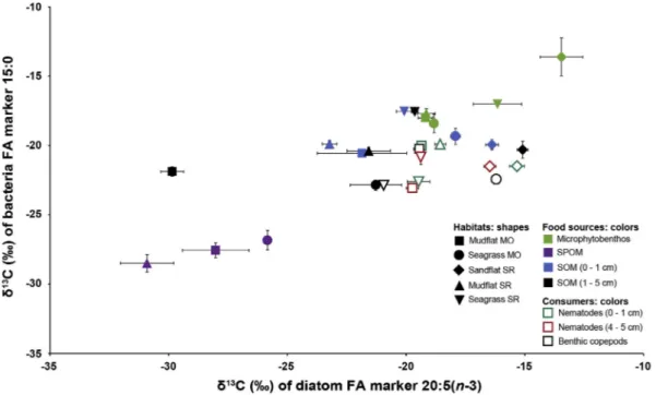 Fig. 6. Contributions (%) of sul ﬁ de-oxidizing bacteria (BAC), suspended particulate organic matter (SPOM), sediment organic matter (SOM), microphytobenthos (MPB) and seagrass and detrital material (DET) as food sources for nematodes and benthic copepods 
