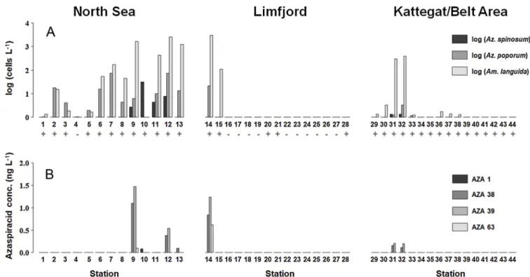 Fig. 5. Collision induced dissociation (CID) spectrum of AZA-63 (A), AZA-37 (B) and the proposed structure of AZA-63 (C).