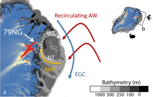 Figure 1.2: Ocean circulation close to and on the Northeast Greenland continental shelf