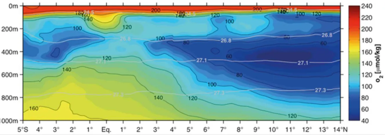 Fig. 1: Average oxygen concentrations along the meridional transect at 23°W. 