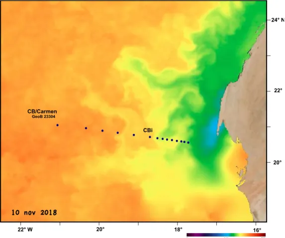 Figure  1.  Map  depicting  the  current  sea  surface  temperatures  in  the  research  area  (source: NOAA-state of the Ocean) Low temperatures (blue and green colors) represent  the distribution of freshly upwelled waters