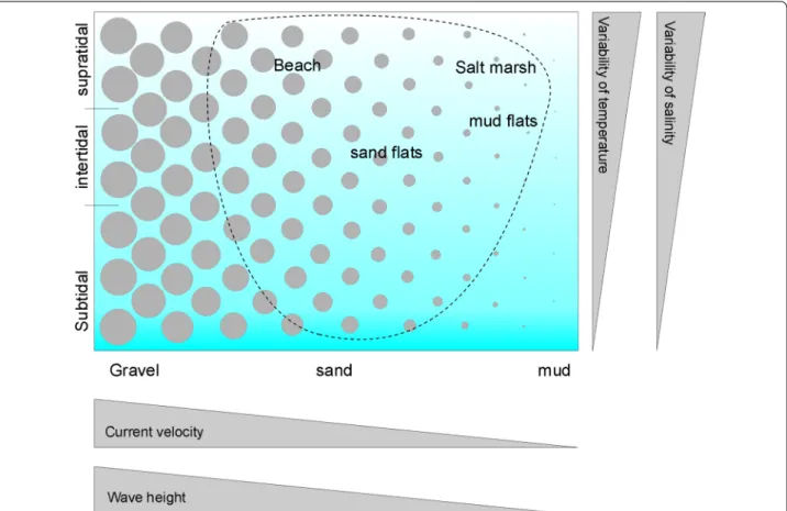 Fig. 1  Schematic representation of coastal habitat types. Circles symbolise the mean grain size and the dashed line surrounds habitats present near  the island of Sylt