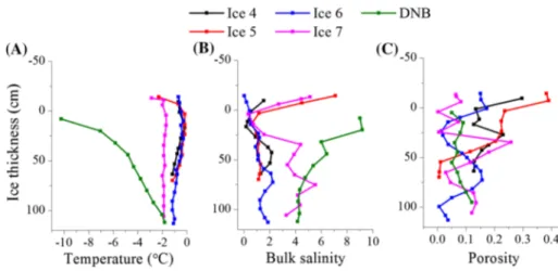 Fig. 2    Bulk ice measurements  of temperature (a), salinity (b),  porosity (c) at the five  measure-ment sites