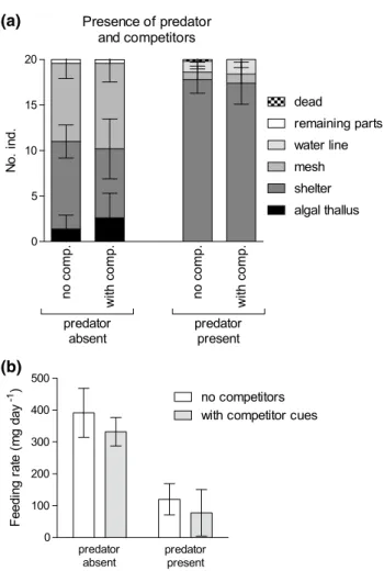 Fig. 2    Spatial distribution (a) and food consumption (b) of groups of  20 individuals each of Echinogammarus marinus in the presence of  the predator Taurulus bubalis and with cues of the congeneric  com-petitor  Gammarus locusta
