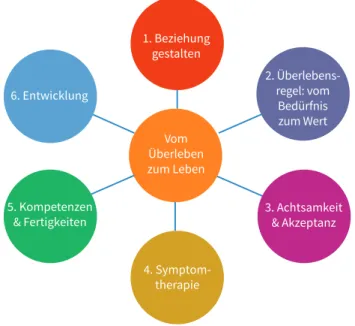Abbildung 1: Die sechs Therapiemodule der Strategischen Gruppentherapie (aus Sulz 2017c, S