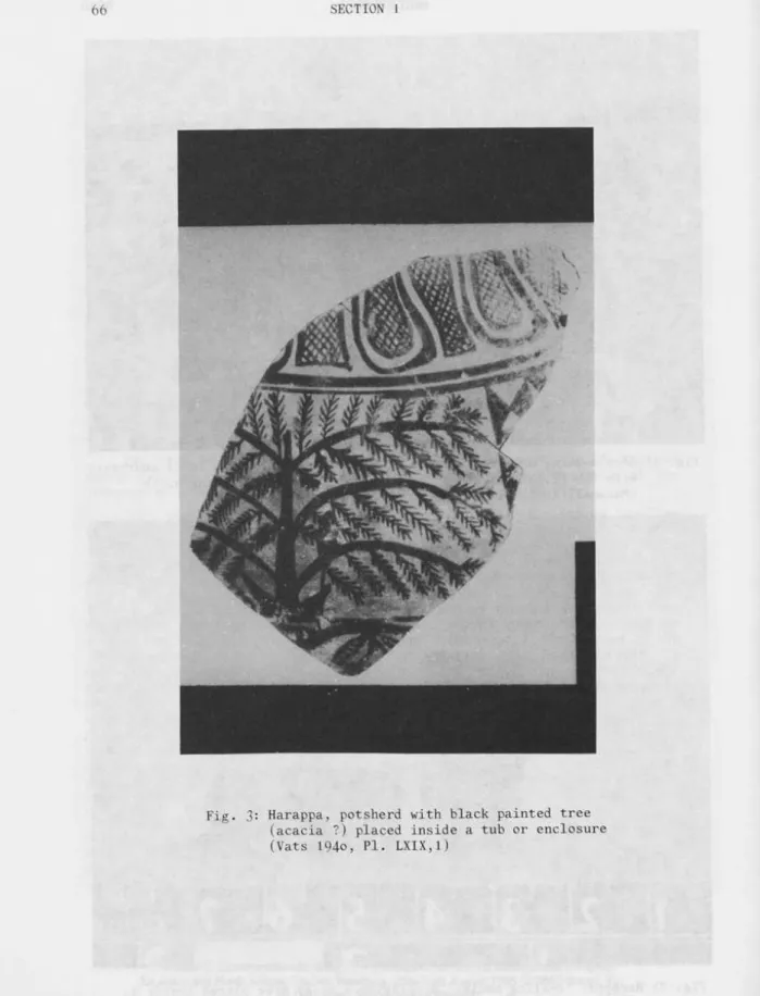 Fig. 3: Harappa, potsherd with black painted tree