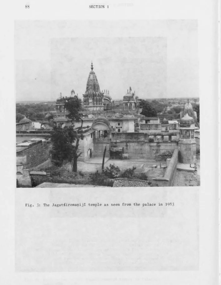 Fig. 3: The Jagatsiromaniji temple as seen from the palace in 1983