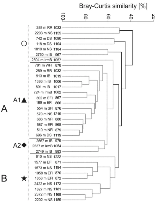 Figure 8. Dendrogram of samples for the family level data (Bray-Curtis similarity, group average group- group-ing method and presence/absence transformed data)