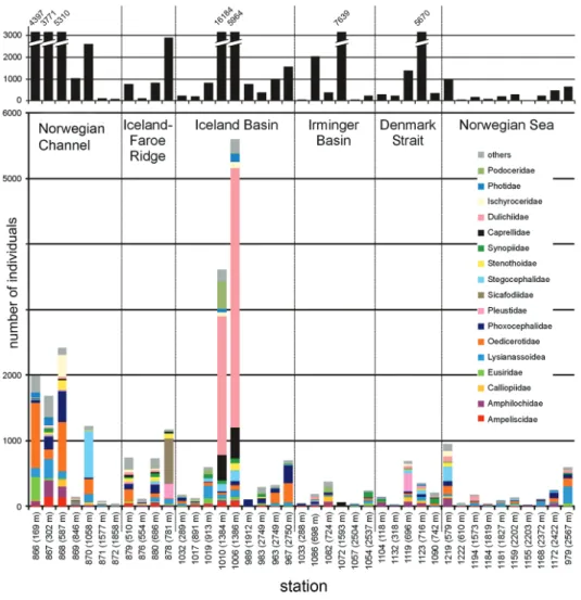 Figure 2. Family distribution at all IceAGE stations ordered by transect. Within each transect (1: Nor- wegian Channel, 2: Iceland-Faroe Ridge, 3: Iceland Basin, 4: Irmninger Basin, 5: Denmark Strait, 6:  Nor-wegian Sea), stations are ordered by depth