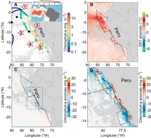 Figure 1. Study region highlighting the biogeochemical setting during occupation. (a) Cruise track showing measured chlorophyll a concentrations (colored dots) and incubation experiment locations (numbered stars)