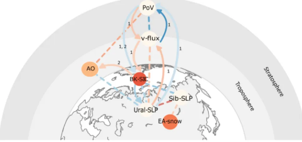 Figure  9  illustrates  that  low  sea ice concentrations over  the  Barents-Kara  seas  lead  to  high  pressure  over  Ural  mountains, which leads to  upward wave propagation  (“v-flux”)  and  weakening  of the stratospheric polar  vortex