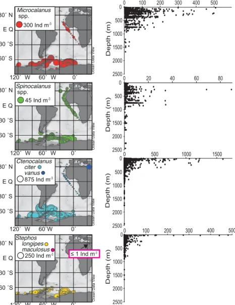 Figure 4. Distribution and abundance as individuals per cubic metre (Ind m −3 ) of selected genera (Microcalanus, Spinocalanus, Cteno- Cteno-calanus, Stephos)