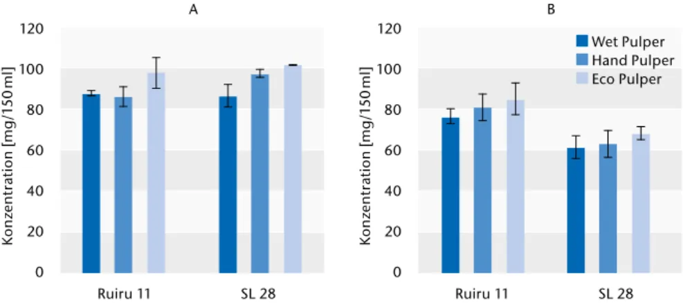 Abb. 2) Koffein- (A) und Chlorogensäurekonzentrationen (B) in Bohnen aus unterschiedlichen Prozessierungsme- Prozessierungsme-thoden (Wet, Hand und Eco Pulper) und von unterschiedlichen Kultursorten (Ruiru 11 und SL28).