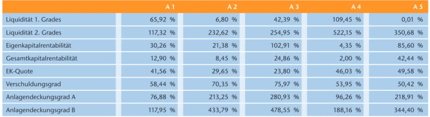 Tabelle 1 gibt einen Überblick über die oben erläuterten  Kennzahlen der betrachteten Anbieter A1 bis A5 für das  Wirtschaftsjahr 2007