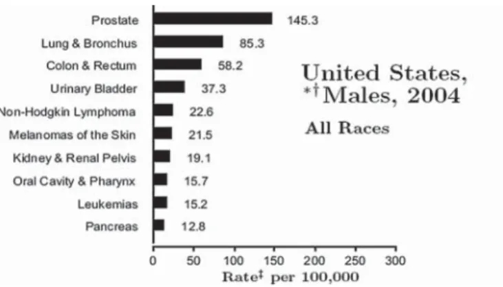 Fig. 1: Cancer cases (rated per 100 000 persons) for males in the United  States in the year 2004 [3] – data covers 98 % of the population of the  United States 