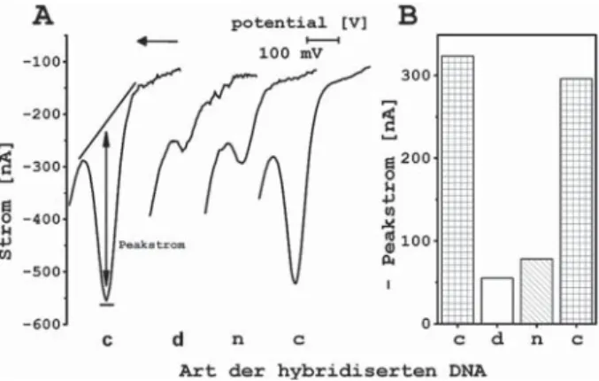 Abb. 2: A) DPV-Messungen eines Sensors mit verschiedenen komplemen- komplemen-tären (c) und nicht komplemenkomplemen-tären (n) DNA-Sequenzen sowie Messung  des Sensors nach der Denaturierung (d) zur Untersuchung der unspezifi   -schen Bindung