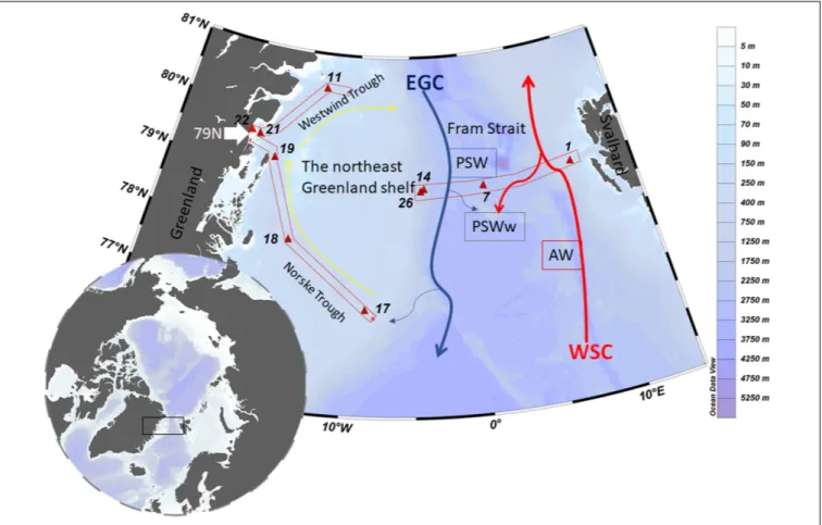 FIGURE 1 | Map of the study area and schematic currents in Fram Strait. The black square indicates the sampling location, and stations are indicated by red triangles