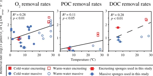 Fig. 4. Oxygen, particulate, and dissolved organic carbon (POC and DOC) removal rates for cold-water (&lt; 15  C) and warm-water (&gt; 15  C) marine sponges plotted against temperature
