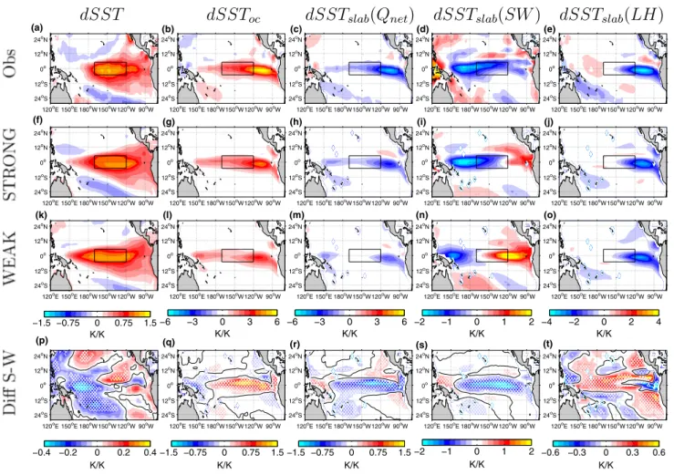 Fig. 5    a observed SST change [dSST] at the maximum of the ENSO  event; b SST change by ocean dynamics  [dSST oc ], estimated as  resid-ual in Eq