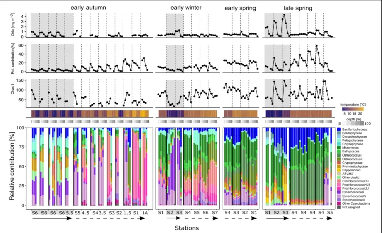 FIGURE 3 | Environmental metadata and stacked bar plots of the taxonomic relative contributions to the phytoplankton fraction for each station within each seasonal campaign
