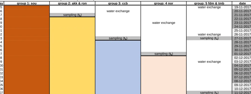 Table S2. Schematic overview of the experiment. (continued)