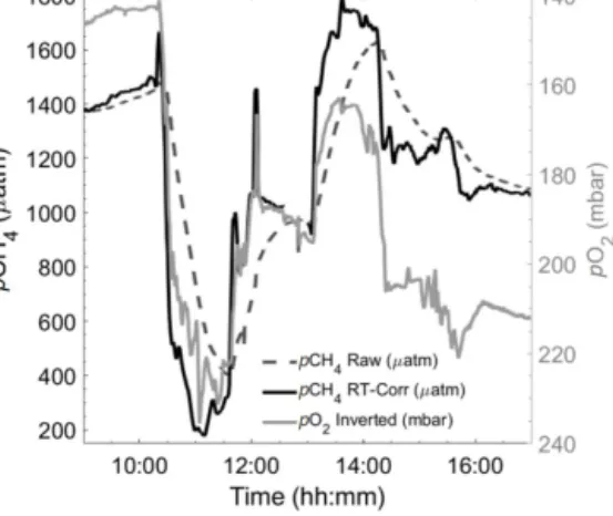 Figure 6. Section of a 24 h cycle of data from the autumn limnic cruise (Rom3), showing raw (black dashed line) and RT-Corr (black solid line) pCH 4 µatm measured by the HC–CH 4 with inverted pO 2 mbar (grey line) as a technically independent, yet paramete