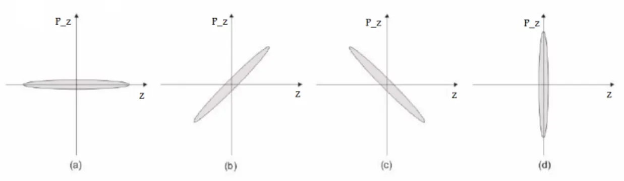 Abbildung 3.1: Longitudinaler Phasenraum: (a) ungebunchtes Teilchenpaket, (b) divergen- divergen-ter Strahl, (c) konvergendivergen-ter Strahl, (d) Fokus [10]